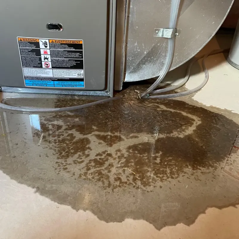 Appliance Leak Cleanup in Sumner, IA