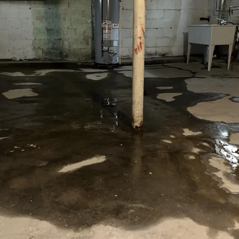 Emergency Water Extraction And Removal in Sumner, IA